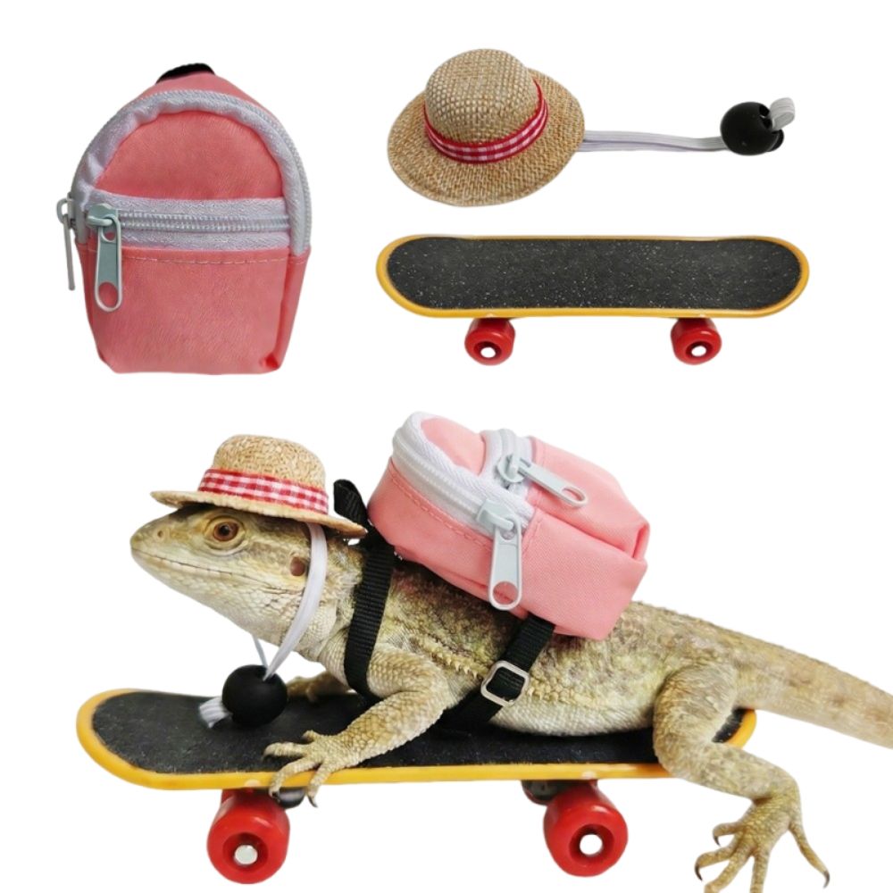 Yaratıcı Evcil Hayvan Kaykay O - Model Kit Lizard incelemesi ve fiyatı